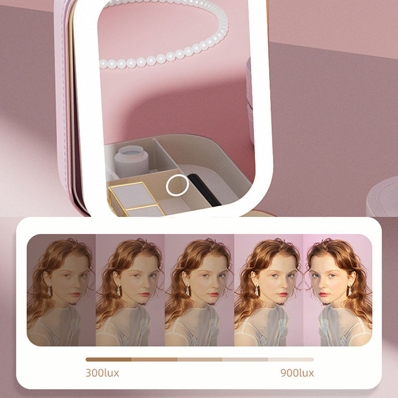 LED-Make-up-Tasche mit Spiegel – Led Mouth Tray Bewertung und Preis