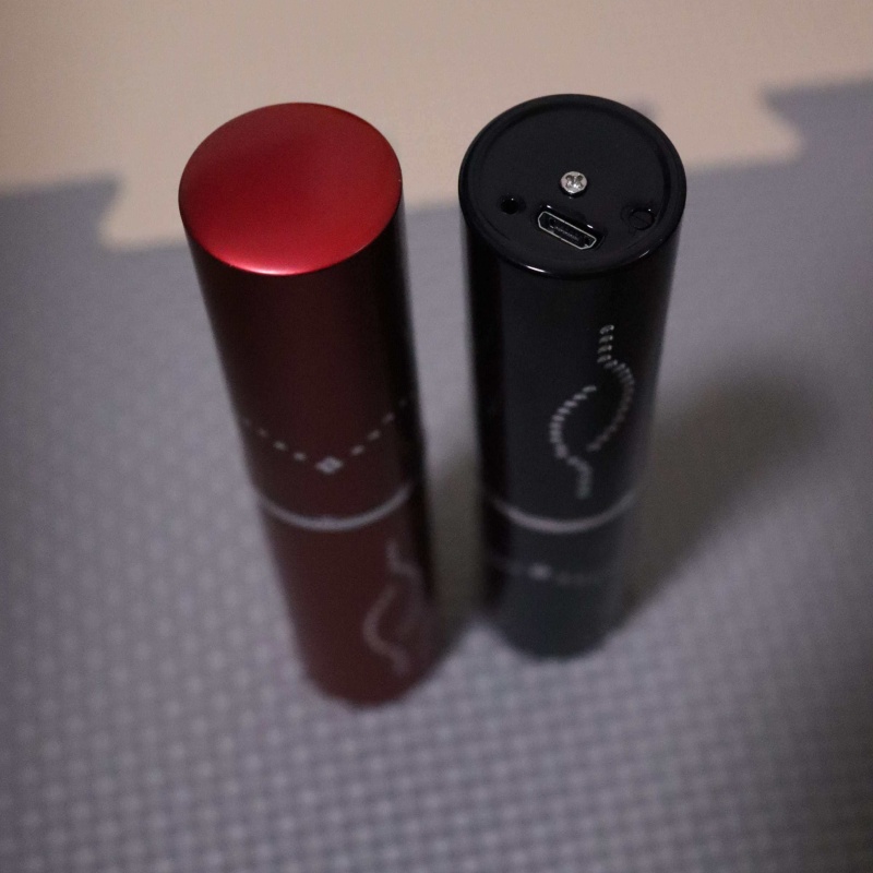 Heißer Verkauf: Tragbares Lipp – Led Mouth Tray Bewertung und Preis