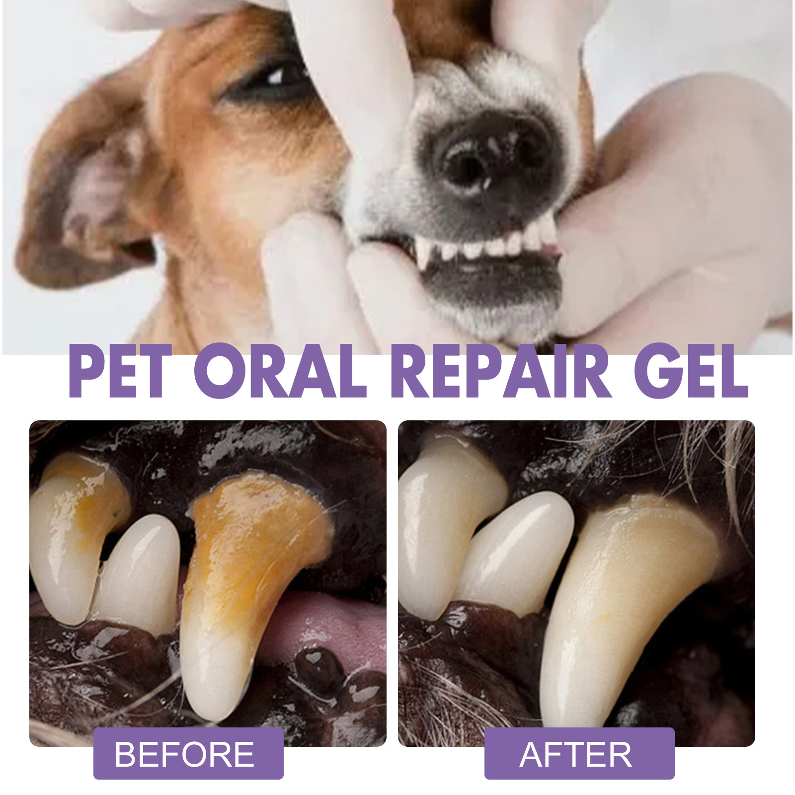 Pet Oral Repair Gel Welpen Zah – Teeth Whitening Doctor Bewertung und Preis